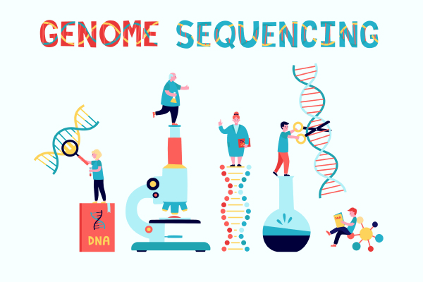 Vector image showing genome sequencing with demonstrative images of scientists dealing with DNA strands,microscope, experiments etc.