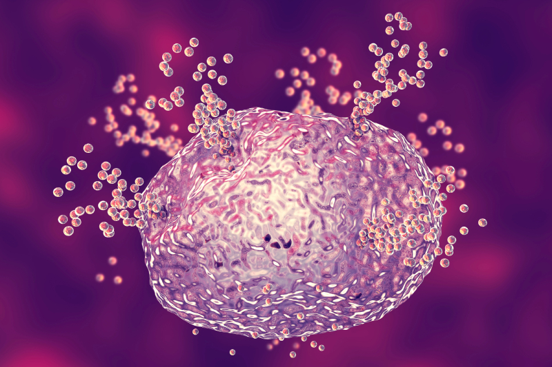 A 3D image illustrates a cell releasing substances during an allergic reaction.