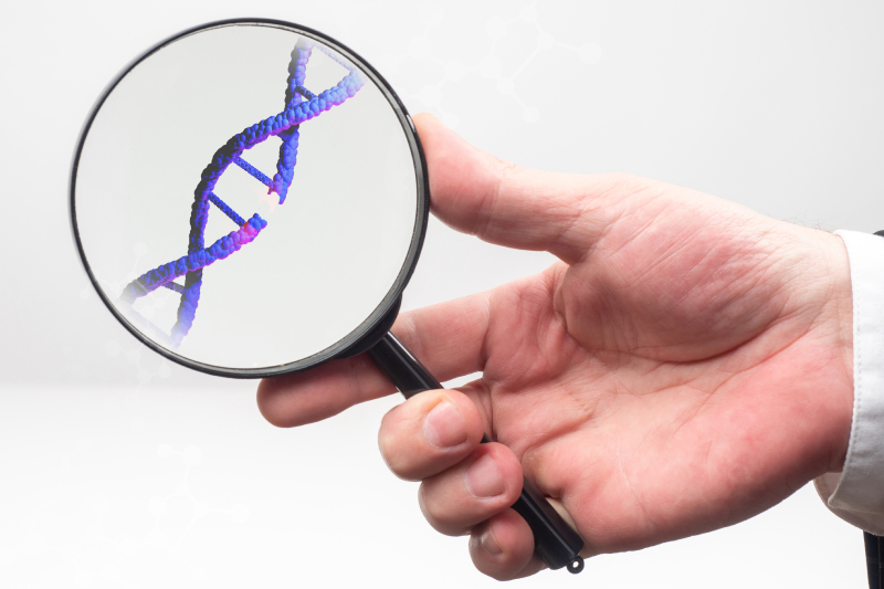 A man's hand holding a magnifying glass focusing on a DNA strand related to genetic diseases.