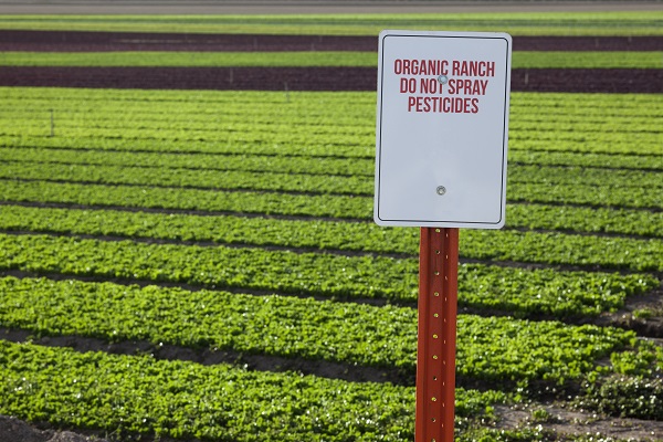 Close-up of a white sign reading "Organic Ranch. Do Not Spray Pesticides" with a green crop field, highlighting organic diet benefits.