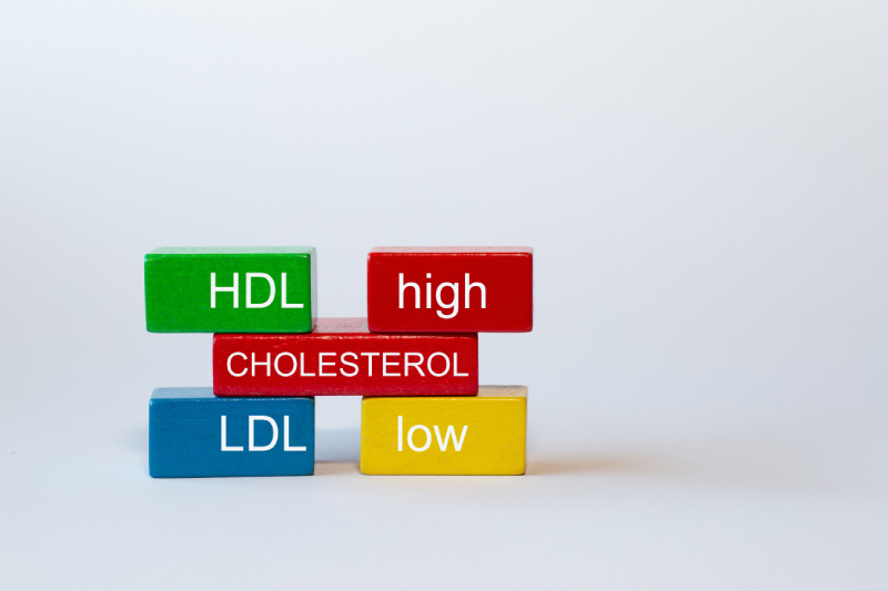 Wooden blocks marked HDL and LDL highlight the role of good cholesterol in heart health and the dangers of bad cholesterol.