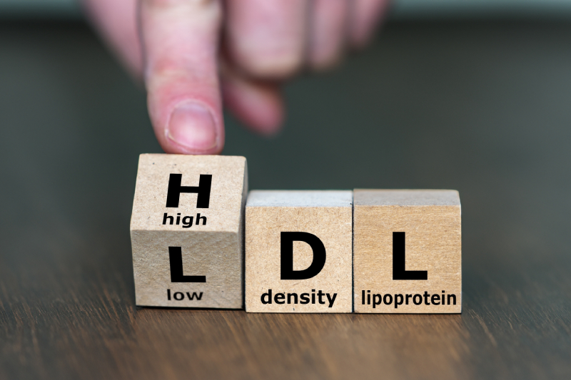 A hand points to the 'H' in HDL, representing good cholesterol that helps prevent heart attacks, with LDL below as bad cholesterol.