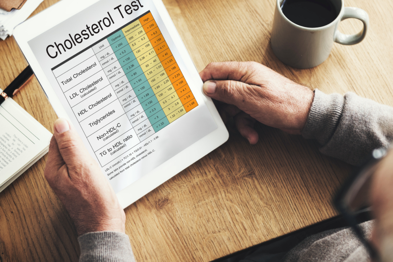 A person reviewing a blood cholesterol test report, highlighting the importance of regularly monitoring body fat levels.