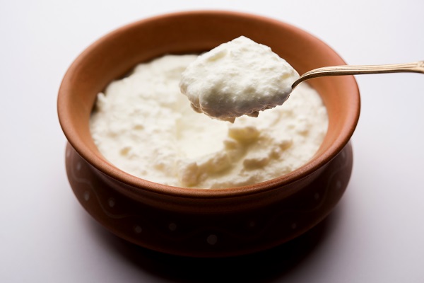 Curd in a clay pot, symbolizing probiotic foods that promote gut health and microbial balance.