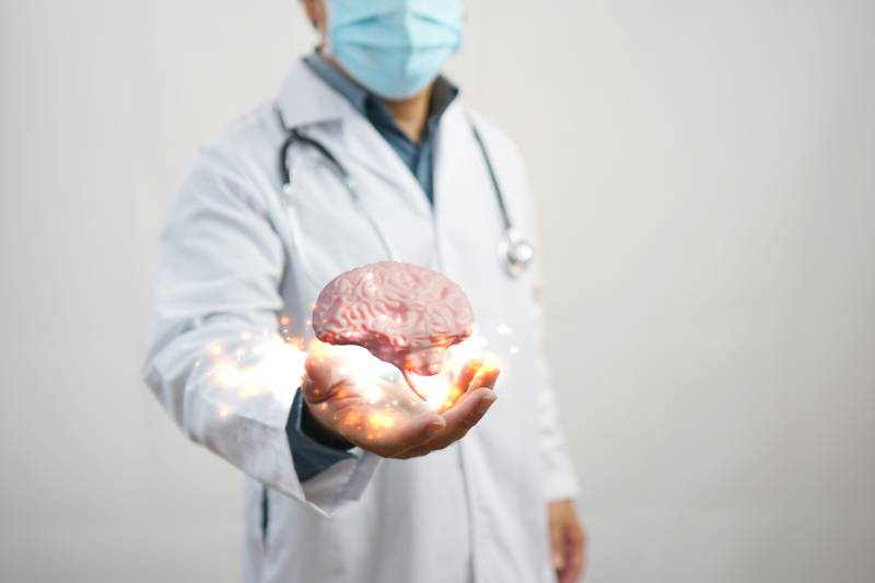 A medical professional holding a brain model, illustrating that neurological disorders can result from abnormalities in the nervous system.
